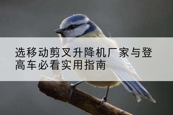 榕江电动升降机厂家-选移动剪叉升降机厂家与登高车必看实用指南