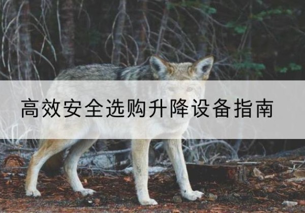 榕江升降货梯厂家推荐-*安全选购升降设备指南